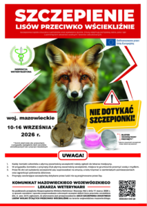 Read more about the article Szczepienie lisów przeciwko wściekliźnie